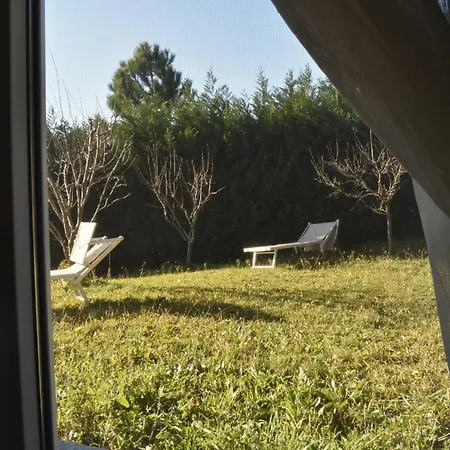 Paola サヴォーナ