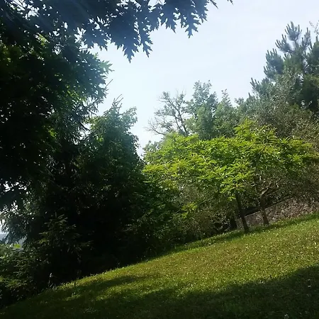 Paola サヴォーナ